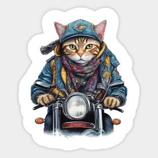 cat wearing a jackets hat and a scarf on a motorcycle Sticker